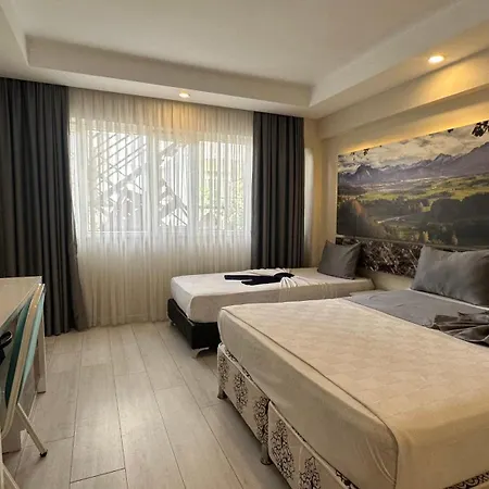 Hotel Dream 2*